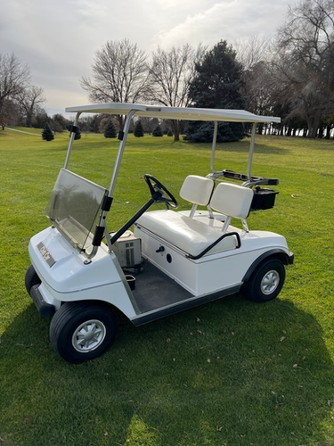 Club Car DS Old Black Rear Flip Seat with Roof Supports (1982-2000.5)